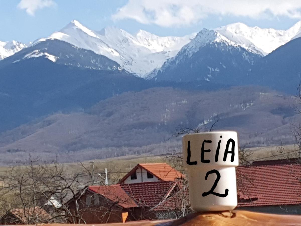 Pensiunea Leia Transfagarasan Cîrţişoara Eksteriør bilde